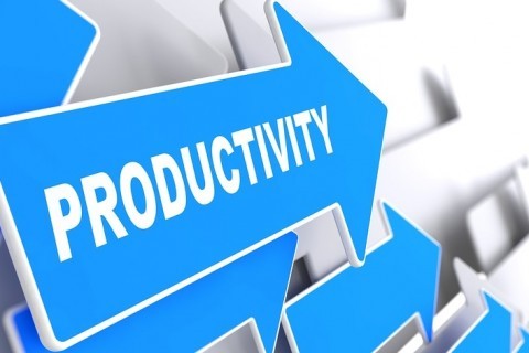 Productivity