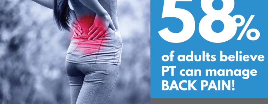 Back Pain Perceptions