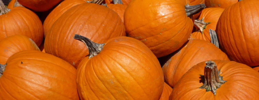 Celebrate National Pumpkin Day with these Four Great Recipes!